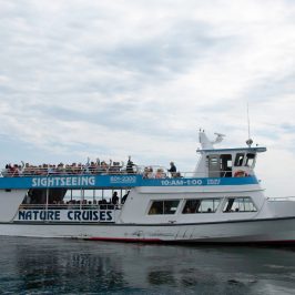 a large ship in a body of water