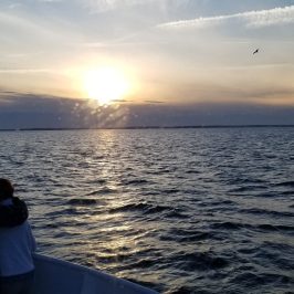 a man standing next to a body of water
