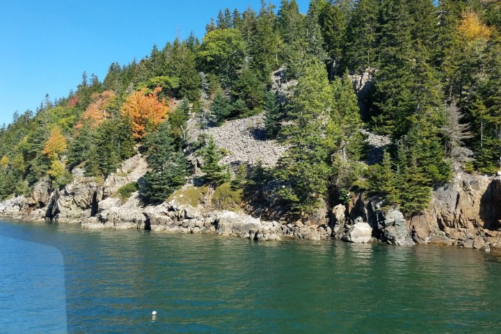a group of people standing next to a body of water surrounded by trees